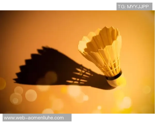 从零基础到高手之路:羽毛球比赛全方位技巧与策略指南